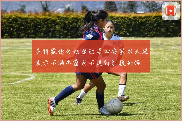 多特蒙德对切尔西召回安塞尔米诺表示不满冬窗或不进行引援补强